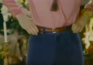 gloria vanderbilt jeans