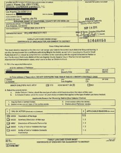 EXCLUSIVE: Angelina Jolie has cited "irreconcilable differences" as the reason for wanting to divorce Brad Pitt and court documents list their separation date as September 15, 2016. The divorce petition, filed at Los Angeles Superior Court on September 19, lists the names of the couple's children and states that Jolie is requesting sole physical custody with visitation rights for Pitt. She wants them to share legal custody of the brood and she is not offering or requesting any spousal support. The 11-page court document is also requesting that "miscellaneous jewelry and other personal effects" are considered separate property, along with earnings and accumulations made by Jolie after the date of separation. Jolie, who married Pitt in 2014, wants them to split the legal costs of the divorce case. Ref: SPL1358494 200916 EXCLUSIVE Picture by: Splash News Splash News and Pictures Los Angeles: 310-821-2666 New York: 212-619-2666 London: 870-934-2666 photodesk@splashnews.com